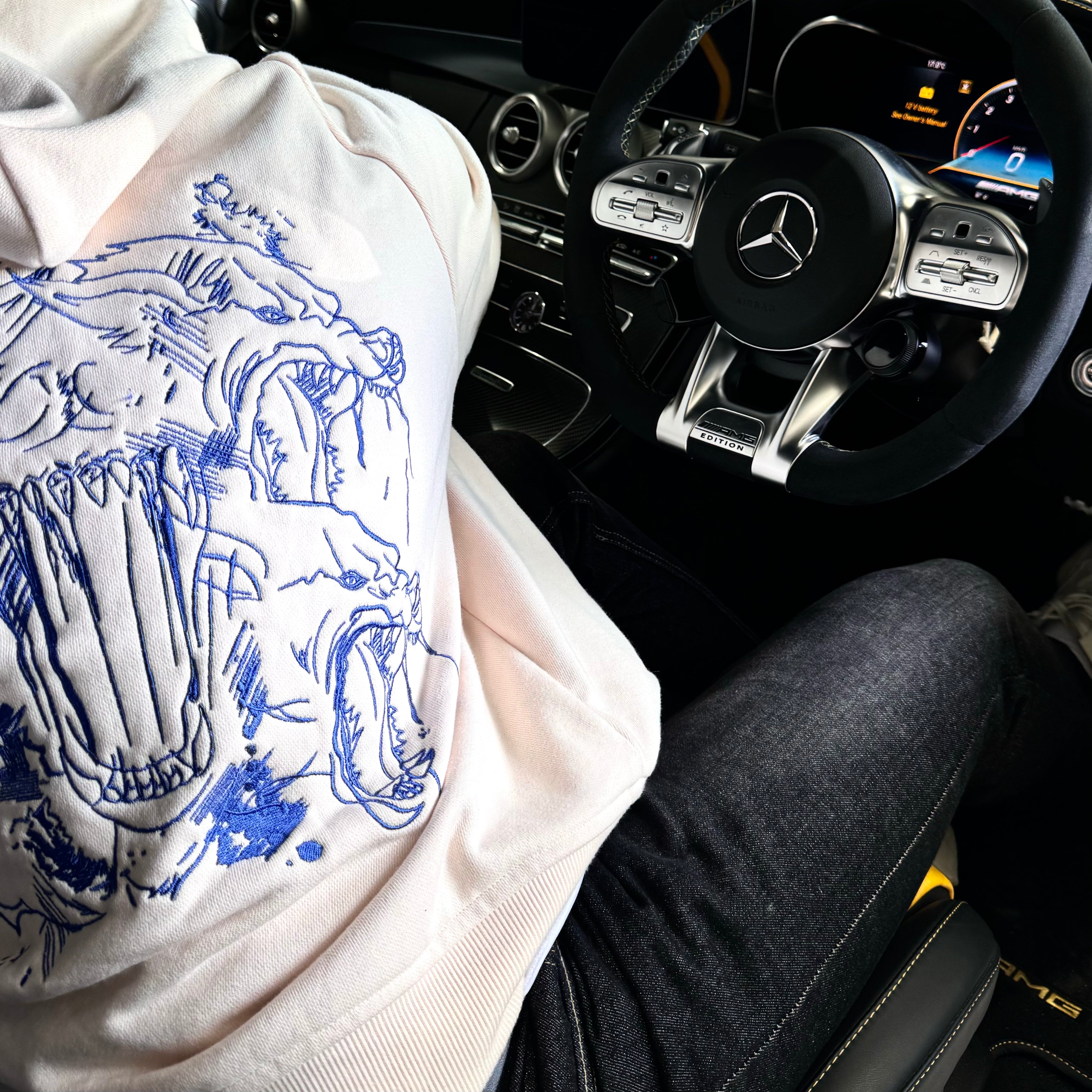 **PRE ORDER** Embroidered Hoodie