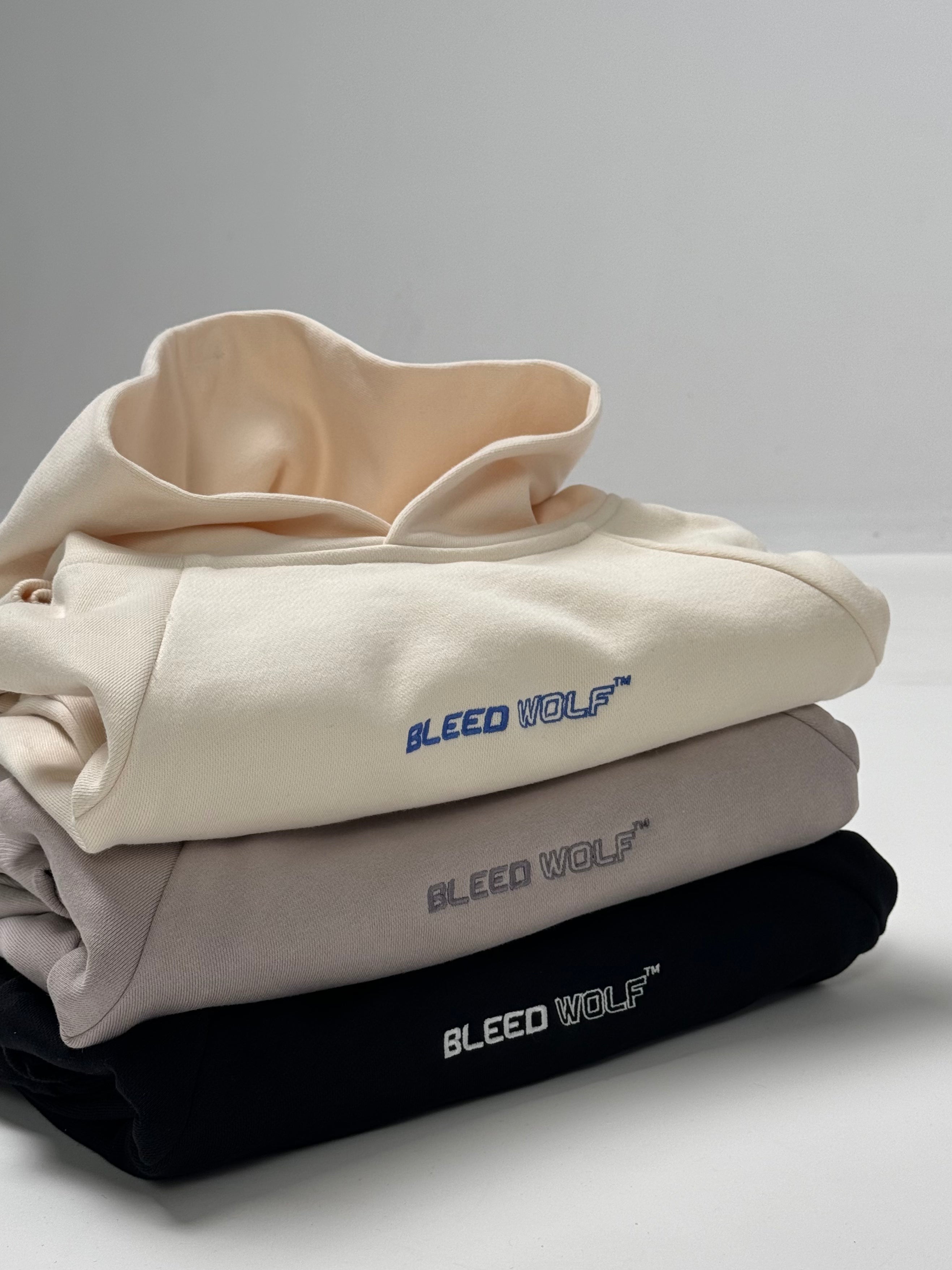 **PRE ORDER** Embroidered Hoodie